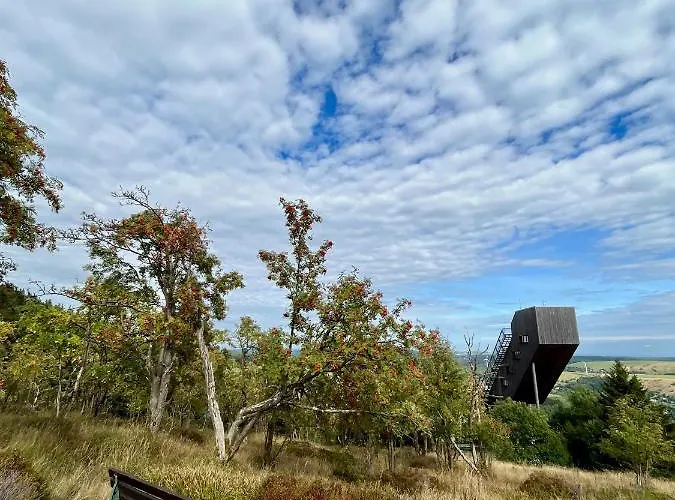 K1 - Bike & Inklusive 3* Курорт Обервизенталь